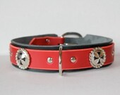 Cavalier Collar