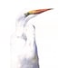 White Heron watercolor painting- H083- bird painting A4 print