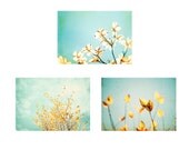 Photo Set - Three 5x7 Photographs - blue yellow gold aqua flower photography nature print set spring branch fine wall art pastel pale