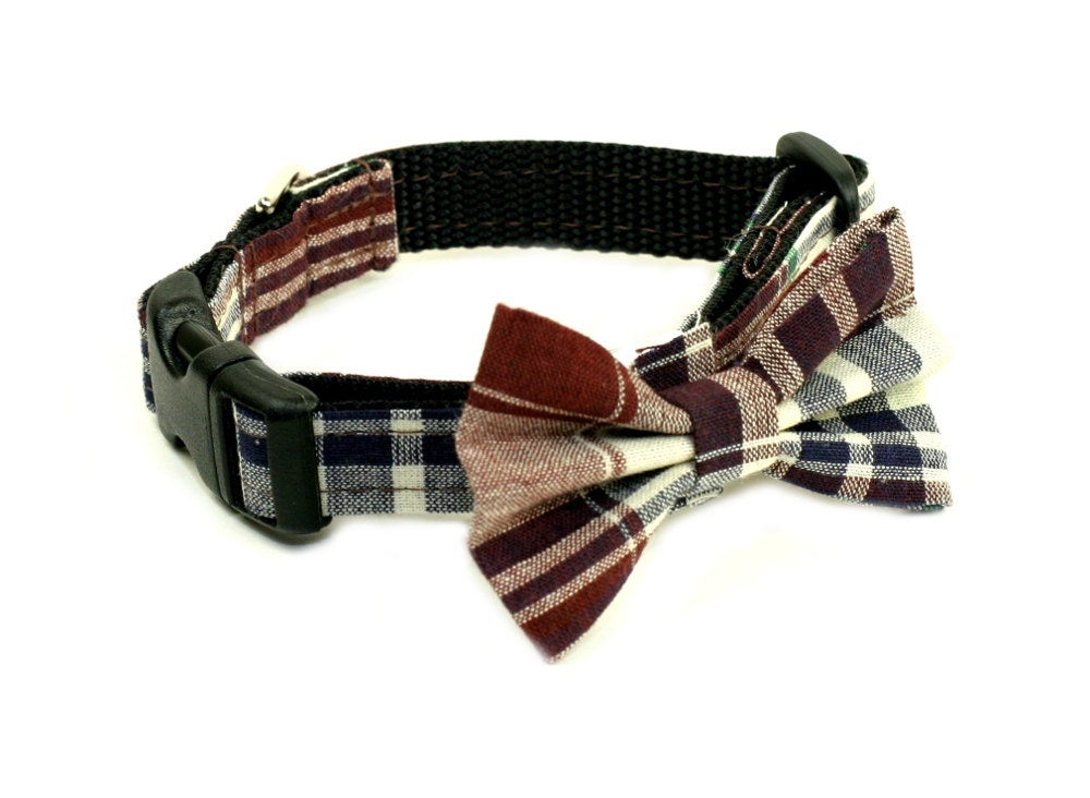 Dog Collar with Bow Tie Set (or Upgrade to Dog Martingale) - Morning Coffee