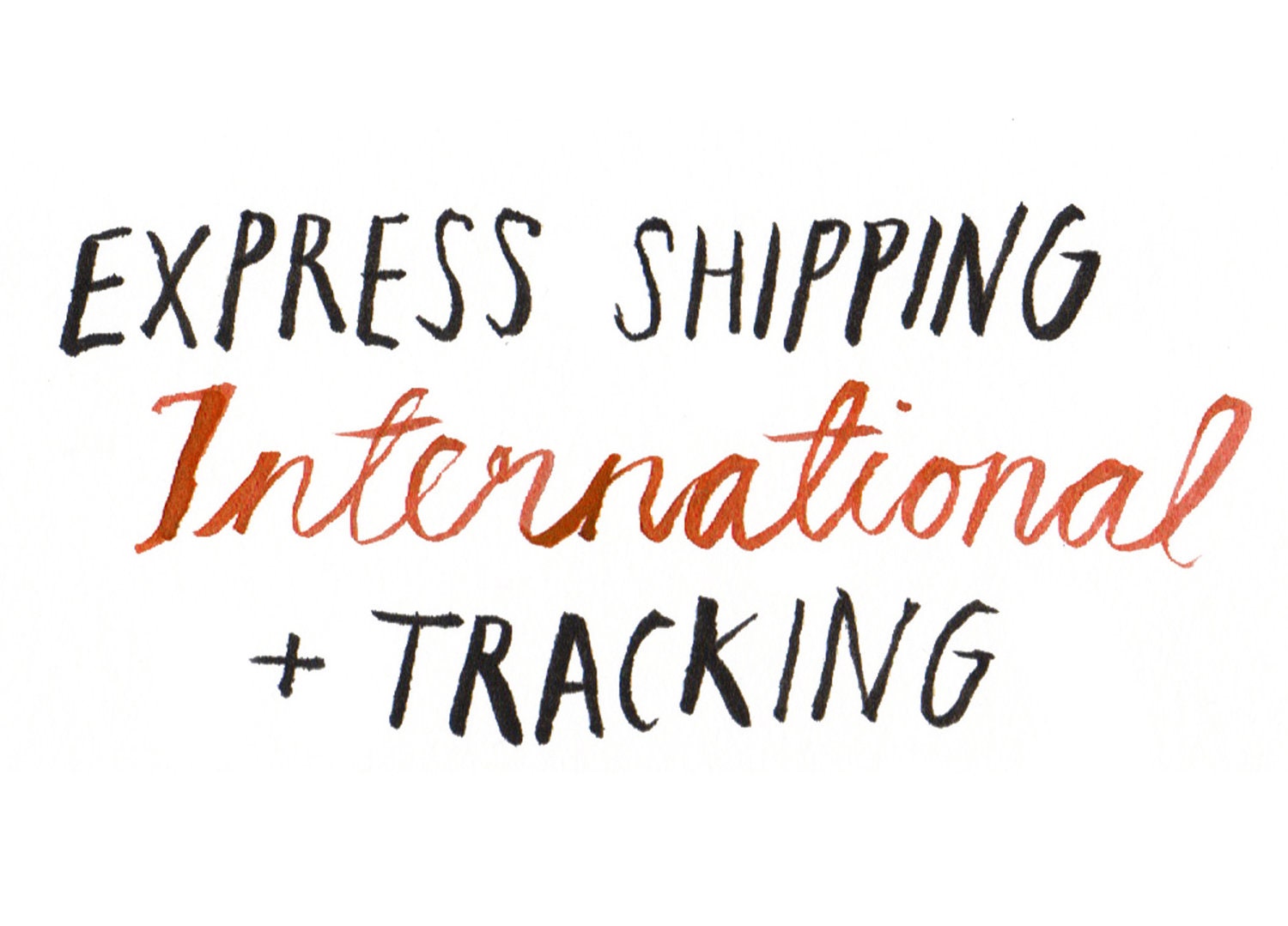 Express International shipping with tracking