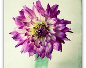 still life photography, mother's day, flower photography, purple, mint green, vintage bottle, office art - 8x8 photograph - SeptemberWren