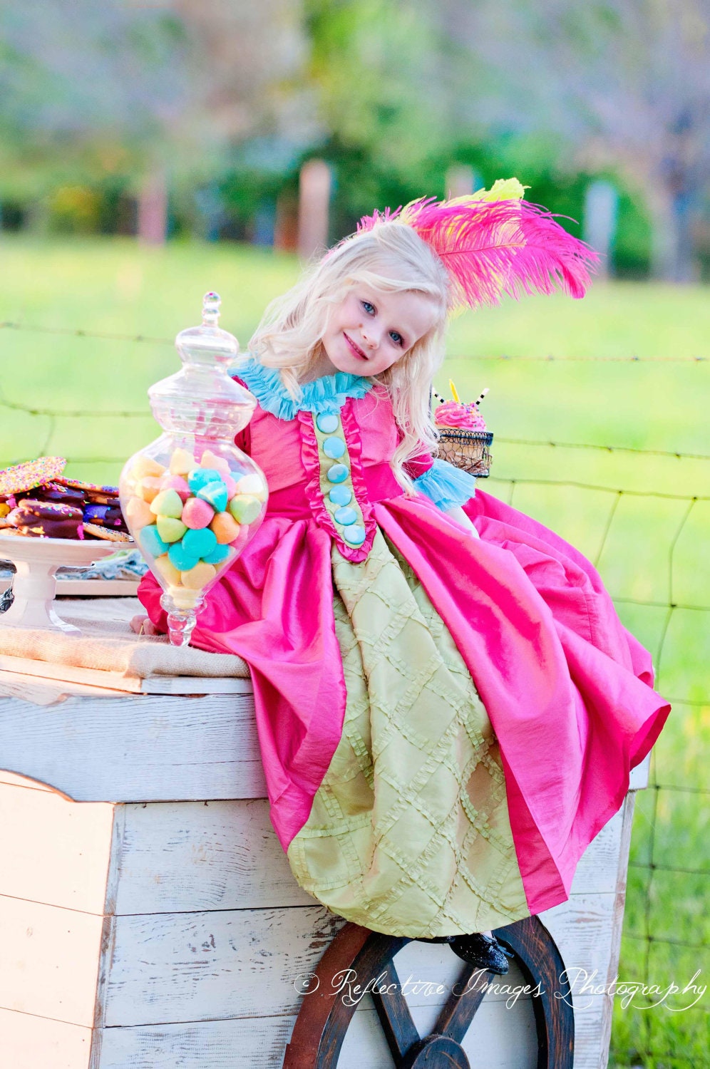 Marie Antoinette Dress, Halloween Costume