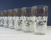 Vintage Floral Glasses Tropical Hibiscus Flowers Tiki Set/6