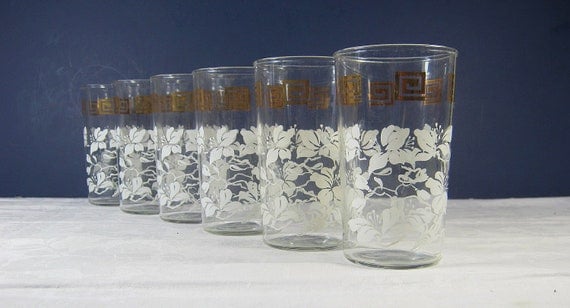 Vintage Floral Glasses Tropical Hibiscus Flowers Tiki Set/6