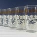 Vintage Floral Glasses Tropical Hibiscus Flowers Tiki Set/6