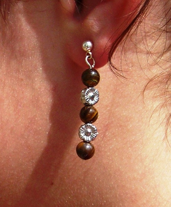 Tiger Iron Dangle Earrings