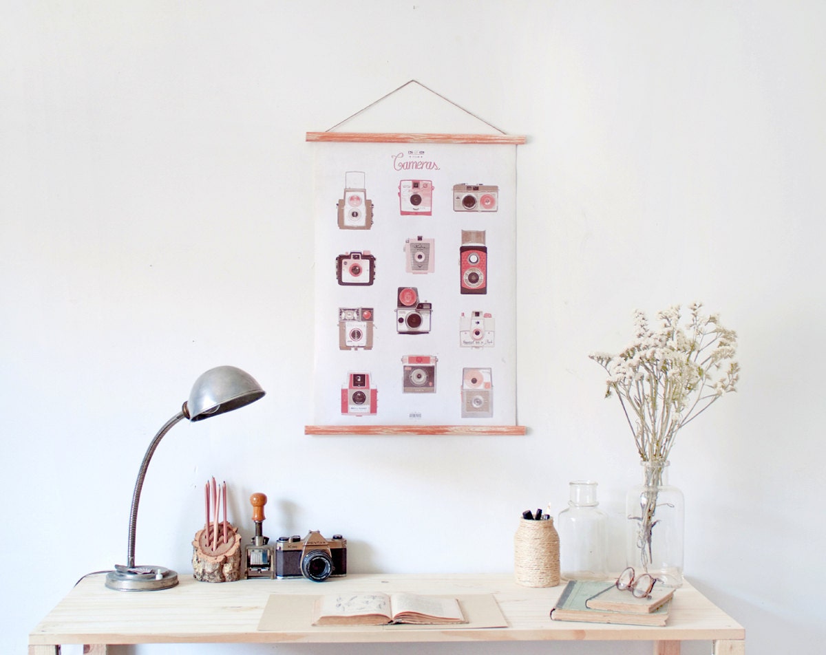 127&620 cameras canvas poster - vintage educational chart illustration CAP2002