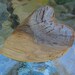 Knotted Driftwood Heart Shape Cut Out Original One of a Kind Wood Heart