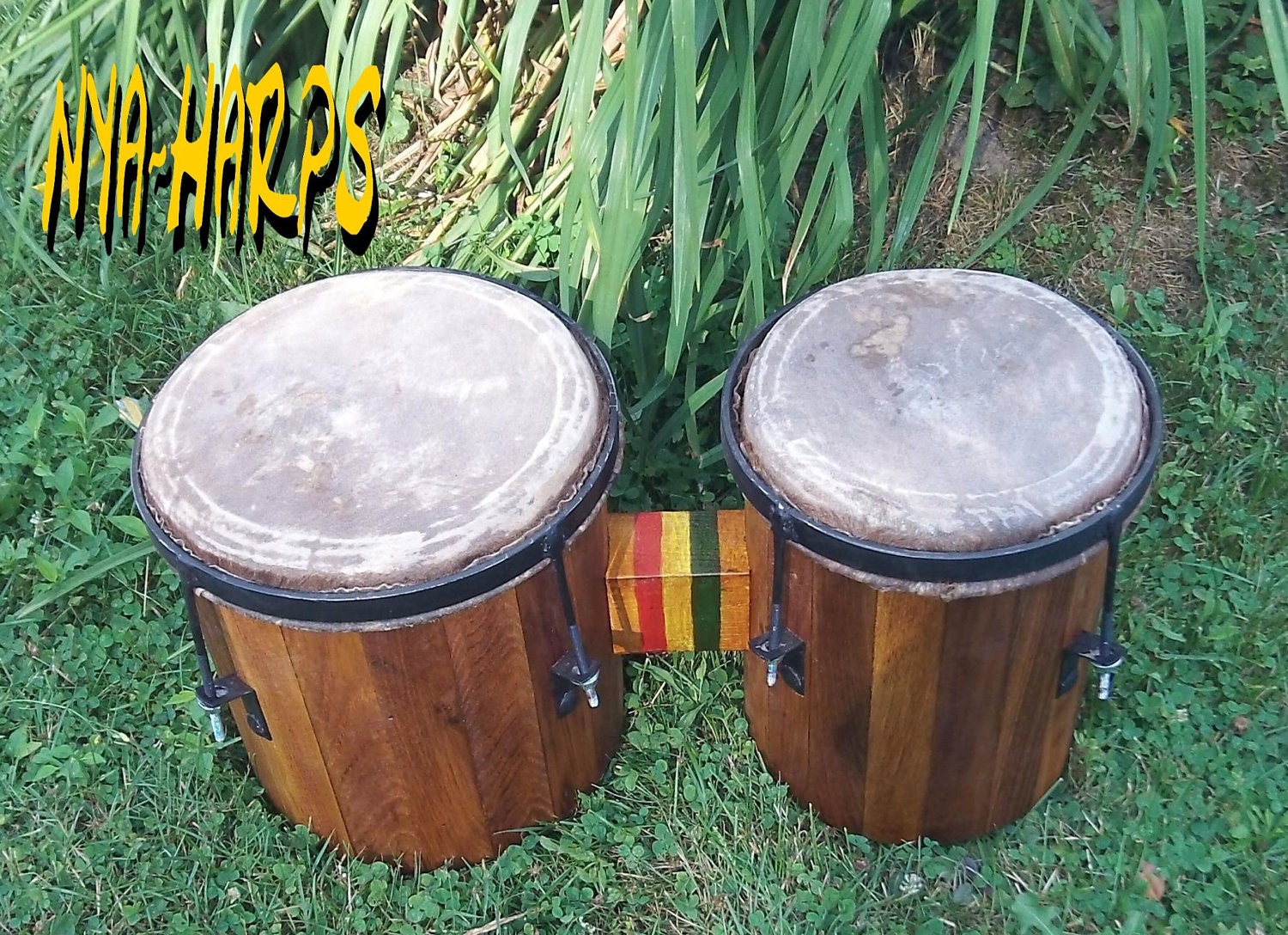 rasta bongo