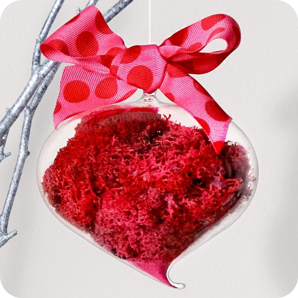 PEPPERMINT POLKA -  valentines day, party favor, hostess gifts,  decorative accent, living gift, holiday ornament, moss, sand terrarium