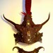 Blood Fae Headress and collar