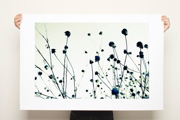 Large Canvas Print Black and White Zen Botanicals 20x30 minimalist wall art living room decor