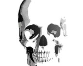 16 x 20 Skull Watercolor Giclee Print