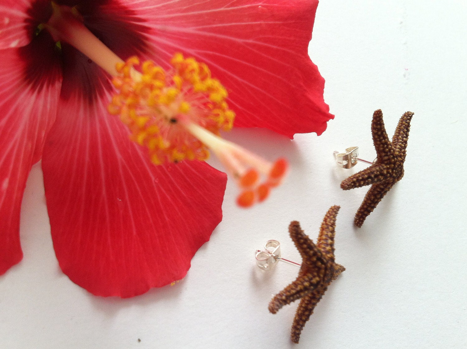 Summer Stars - Starfish Earrings