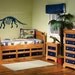 Dinosaur Skeleton Vinyl Wall Decal  60"