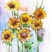 Sunflowers, Nature art, Watercolor flowers, Original Painting,  Flowers of Spring, OOAK, ACEO13