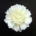 Fabric Flower Hair Accessory: Pin, Hair Clip, or Fascinator - Ivory Dahlia - Small
