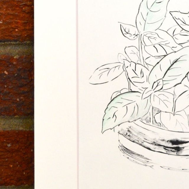 Basil sketch for kitchen. Original painting. Black & white. 11x14.