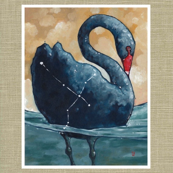 Cygnus the Swan - Constellation Fauna Series Fine Art Print 11" x 14"