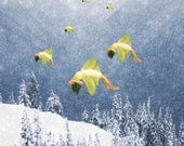 Free Falling, Winter, Snow, Nature, Woman