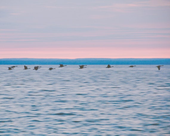 Pink and Blue Photograph, Lake House Decor, Sunset Photo, Pastel Ocean Wall Art