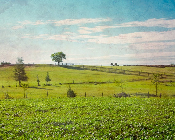 Landscape Photography 8x10, Bright Nature Chartreuse Green Aqua Blue Wall Art, Nursery Decor, Surreal Farm Field Print, Fairy Tale Picture