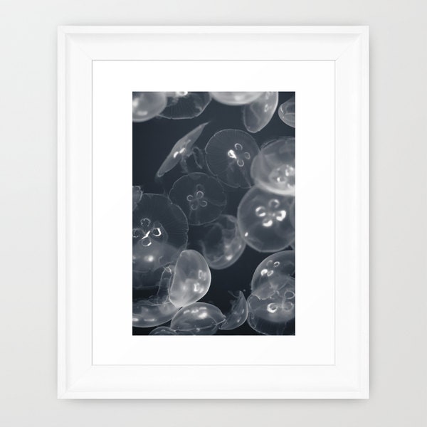 Jellyfish Photo - Blue, White Jellies, Sea life, Jelly, Fish, Seaside Decor, Buy One Get One Free, Underwater Art, Luminous Embrace