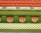 19 Half Yard Complete Bundle of Daisy Mae by Denyse Schmidt