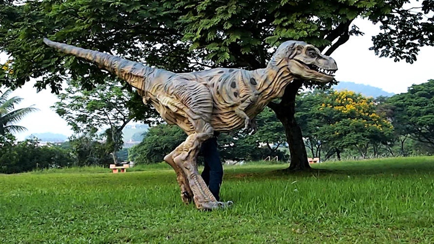 Life Size Baby T-rex Costume 16 Feet Long