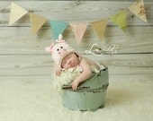 Vintage Double-Sided Fabric Burlap Twine Bunting Flag Banner (5 Ft.)  Vintage Pastels