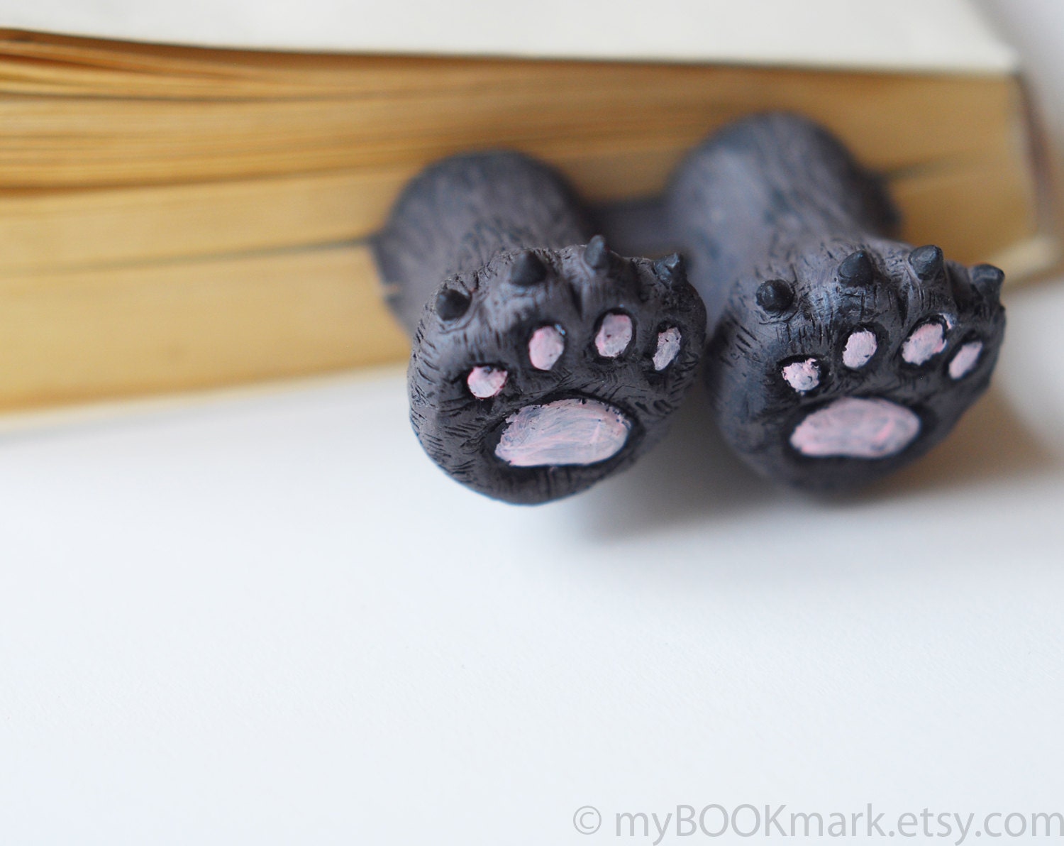 Cat paws .Bear paws in the book. Funny gift. Cat in book for child, children, kids, for her, all, hostess.