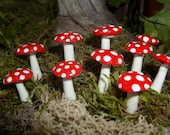 FREE Shipping 1/2" TO 1"    25  fairy garden mushrooms miniature terrarium toadstool pixie or gnome