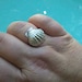 Sterling Silver Ring, Fine SIlver Ring, Sunrise Shell, Sunrise Shell Ring, Sterling Silver Sea Shell, Hawaii