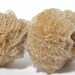 Gypsum Selenite Desert Roses Crystal Cluster Free US Shipping
