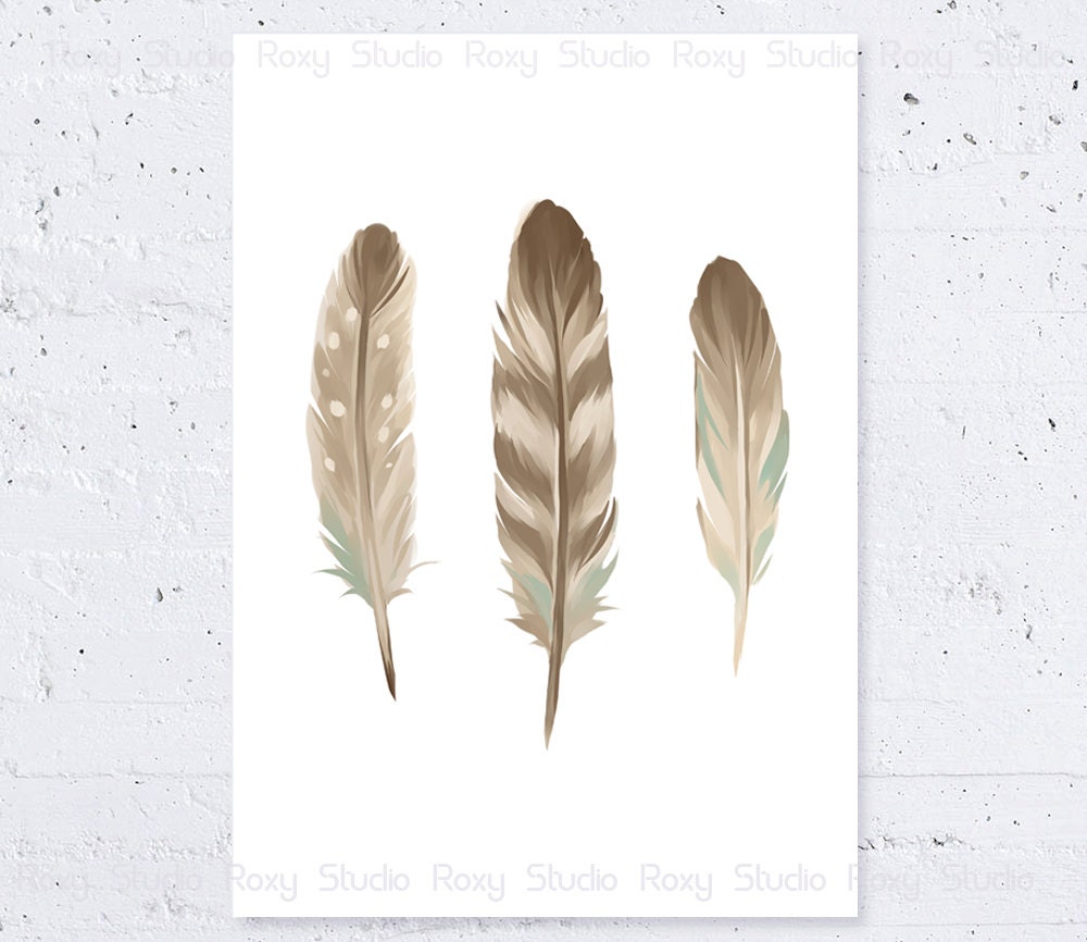 Feather Print - Feathers Drawing, Nature Inspired Illustration Poster Art Print, Wall Art - GiclÃ©e Glossy Print - A4  11.7" x 8.3" - RoxyStudio
