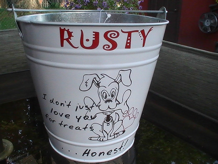 Galvanized Backyard Dog Treat Bucket