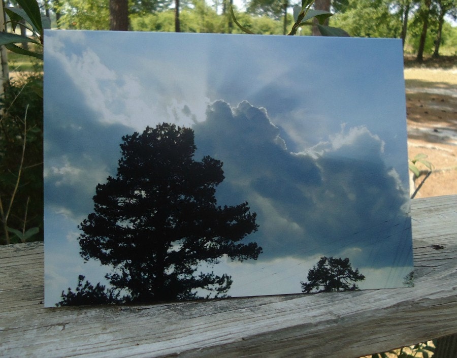 From Above Blank Greeting Card
