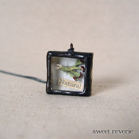 Woodland Earth Day Necklace, Miniature Shadow Box Necklace with Natural Botanical Specimen, Soldered Nature Reliquary Jewelry