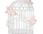 A4 birdcage illustration printed on Textured paper