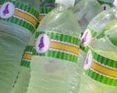 Alice in Wonderland Water Bottle Lables Il_170x135