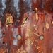 Abstract Fine Art Photography Industrial Rust, Wallflower 8x12