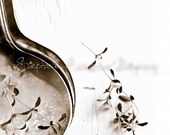 11x14 Sepia Toned Print : Spoons and Thyme