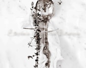 16x20 Black and White Toned Print : Antique Spoon and Thyme