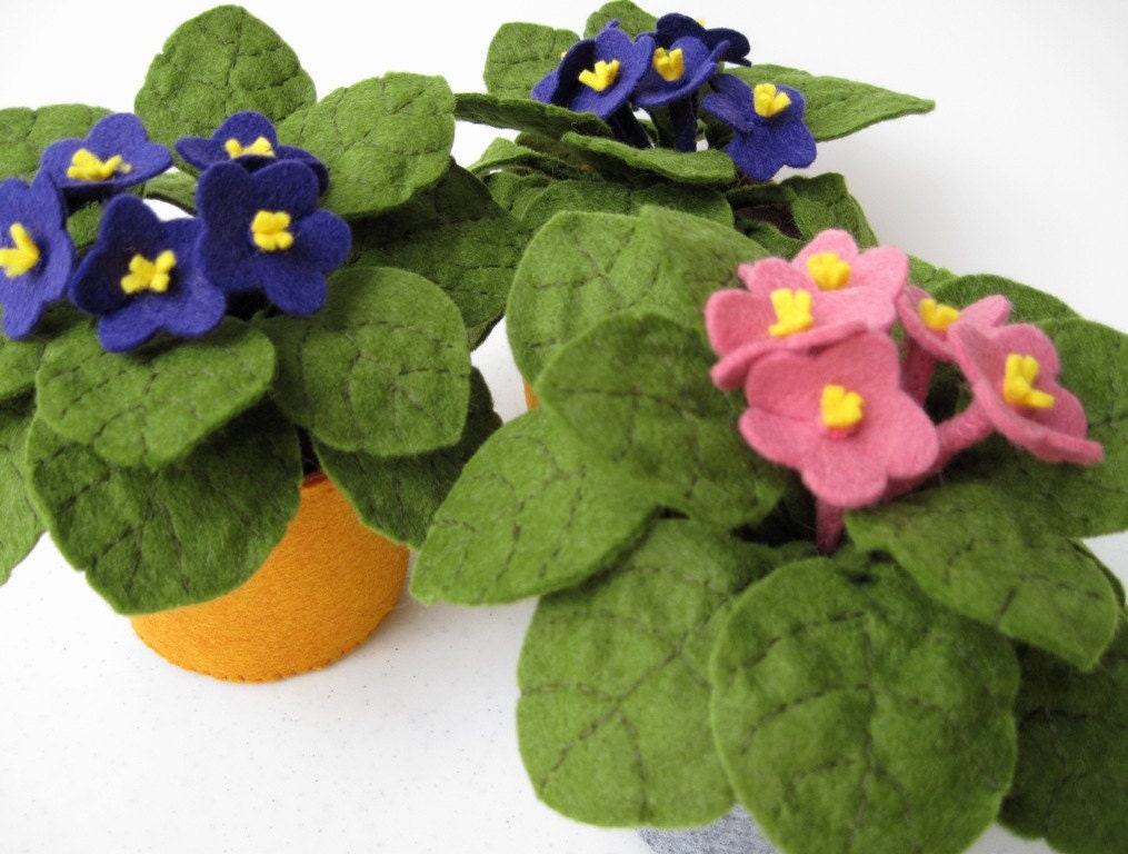 Felt Flowers African Violet