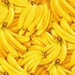Banana Farmer's Market by RJR Fabrics 6799J Cotton Fabric by the yard