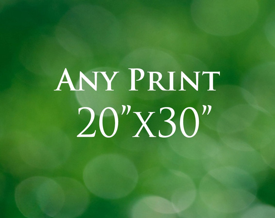 20x30 Print, 20x30 Custom Canvas Print, 20x30 Photography Art, Canvas or Photograph Print Choose Any Photo Customizable