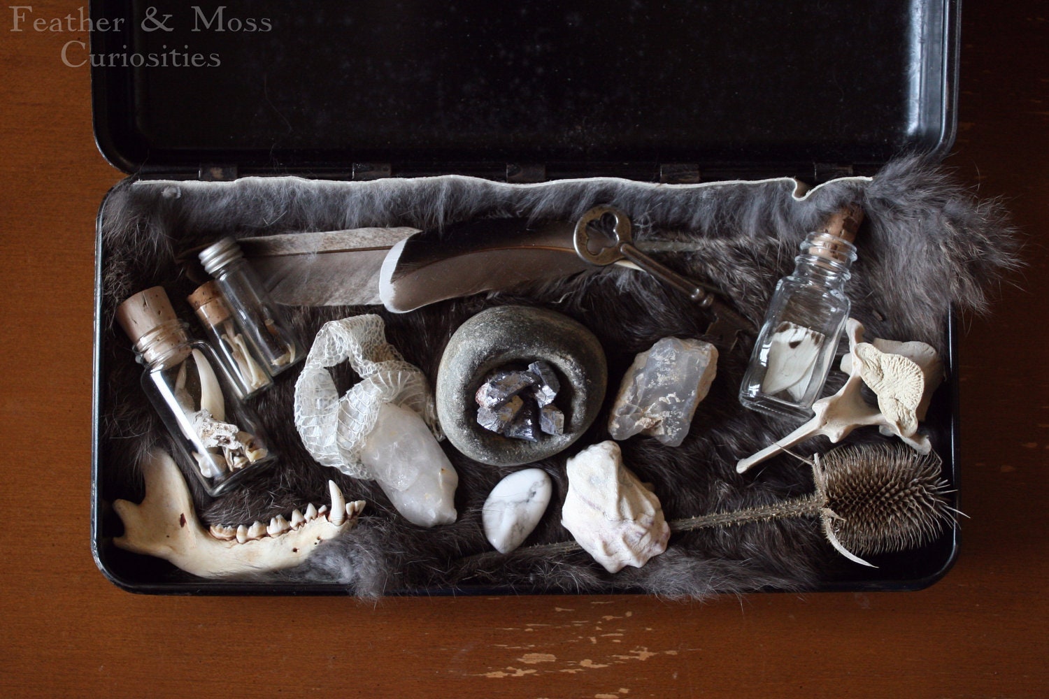Curiosity cabinet. "Hecate." Bones, minerals, feathers, skeleton key.
