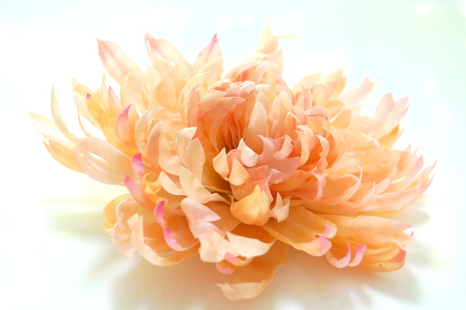 Silk fabric flower pin brooch/hair clip