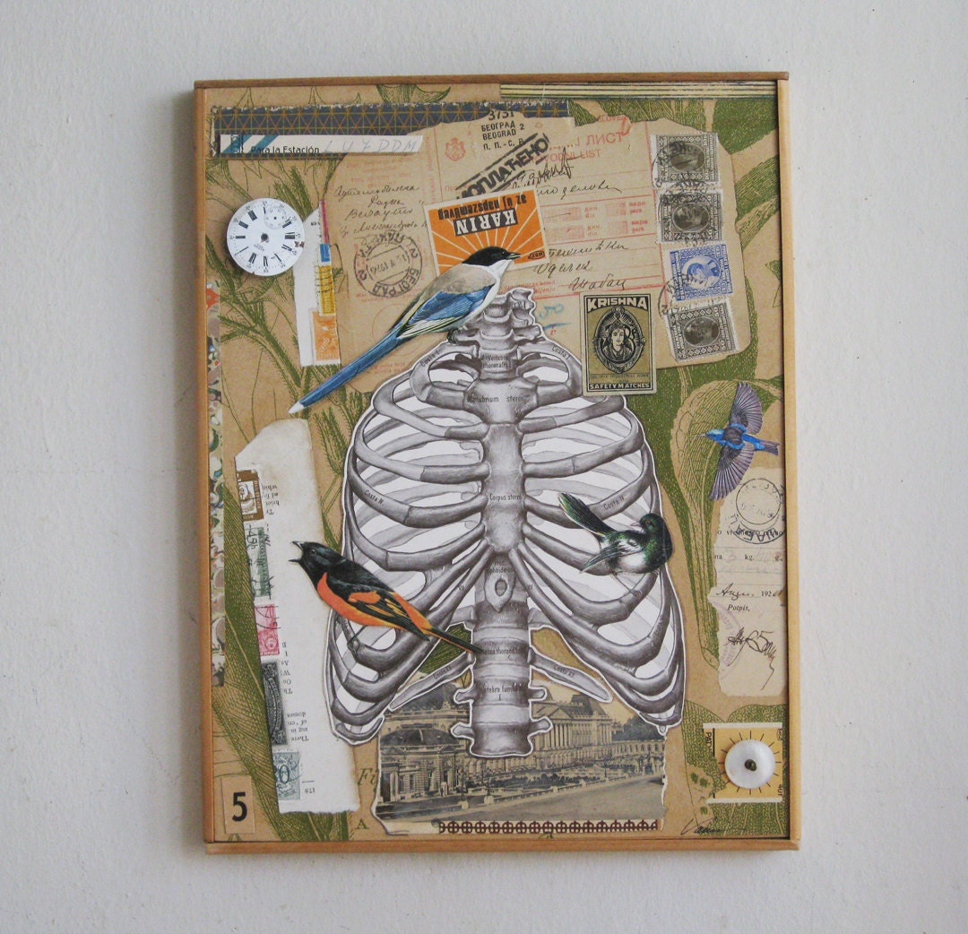 Birds & Ephemera, Original Mixed Media Collage, Vintage Postage Stamps, Anatomical Illustration, Rib Cage